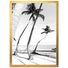 a black and white photo of palm trees on a beach