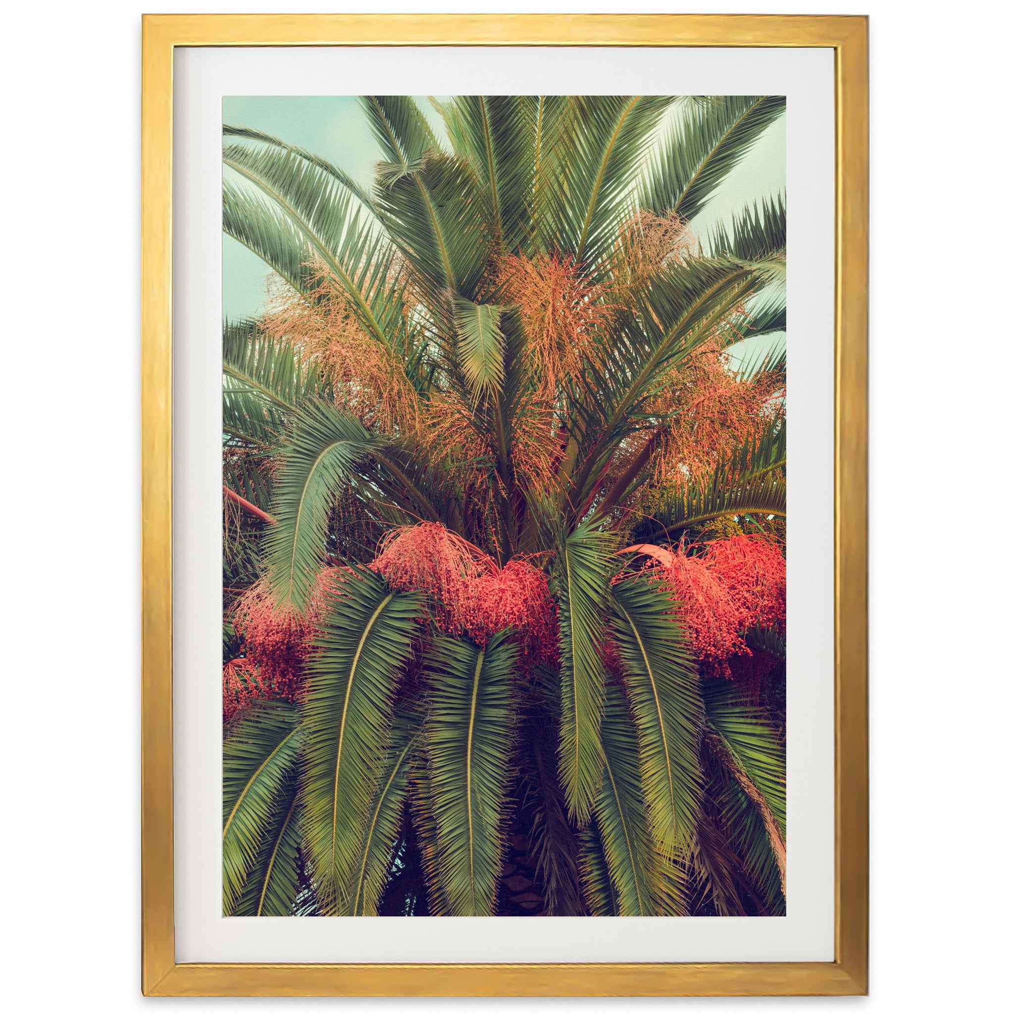 a picture of a palm tree with red flowers