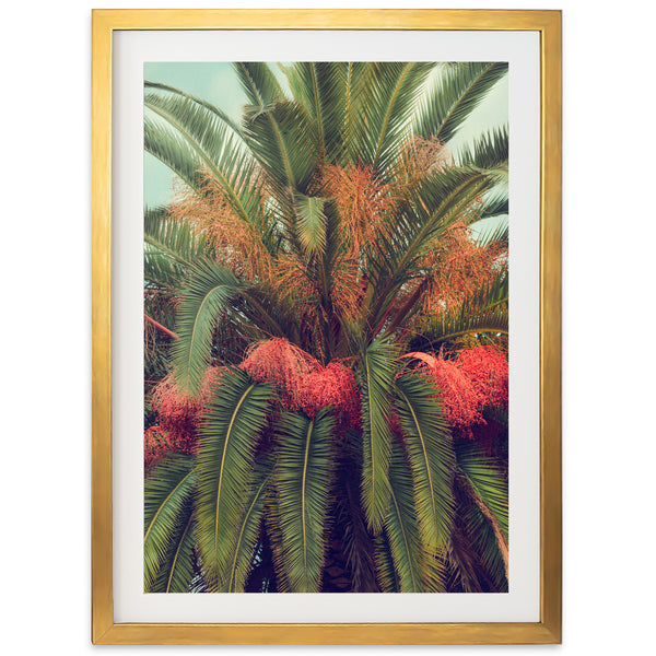 a picture of a palm tree with red flowers