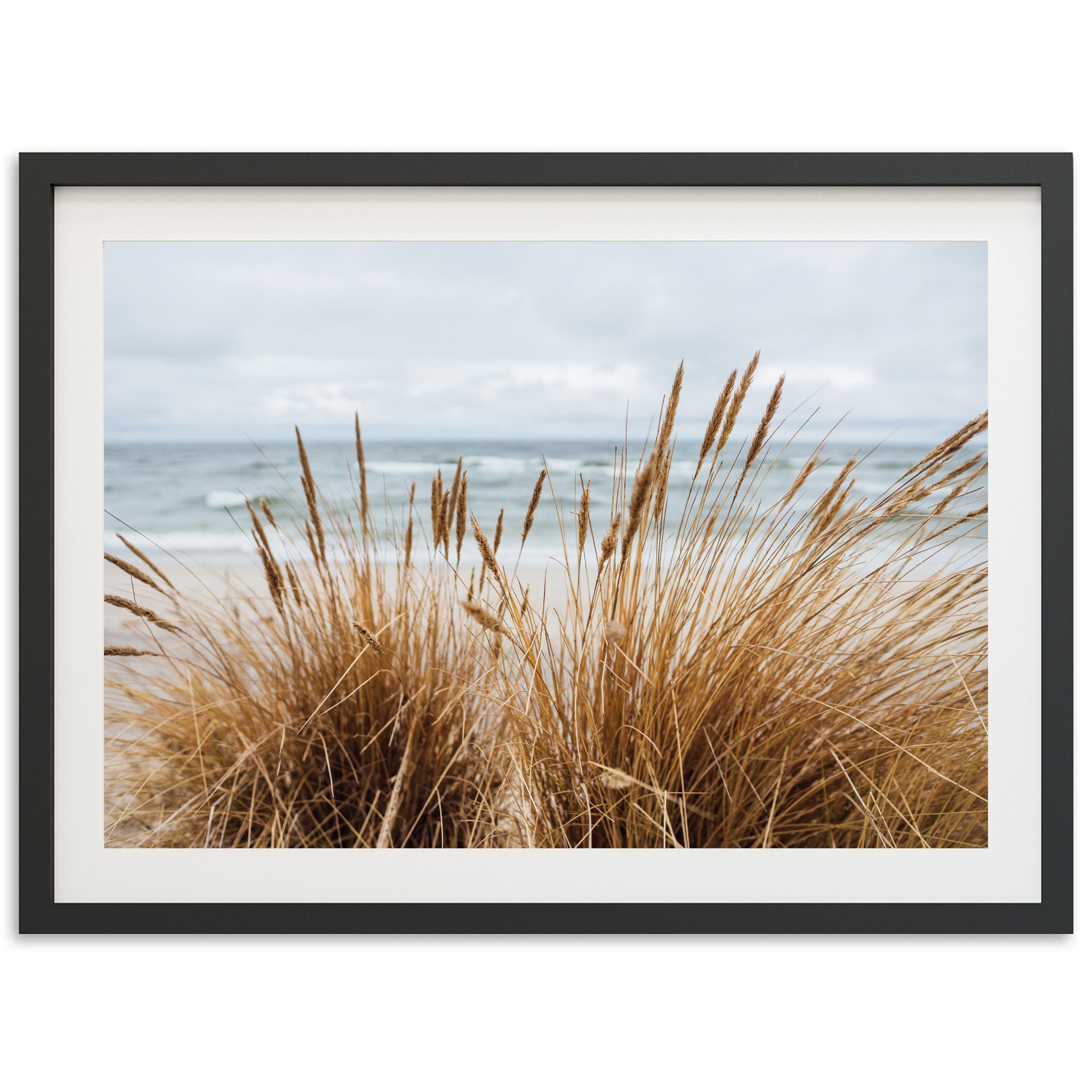 a picture of a beach with grass in the foreground