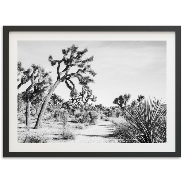 a black and white photo of a joshua tree