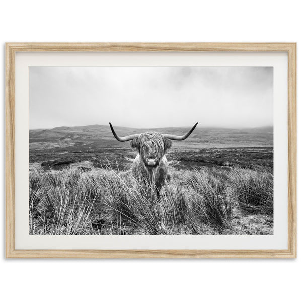 a black and white photo of a long horn cow