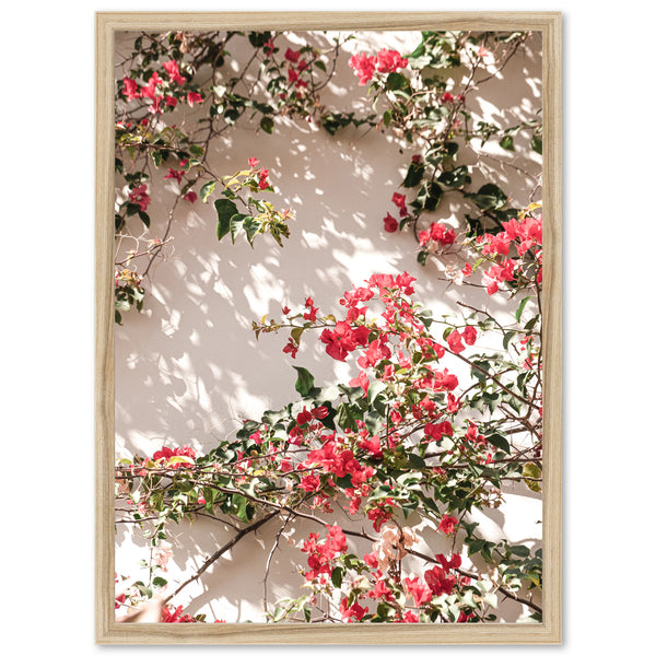 a picture of red flowers on a white wall