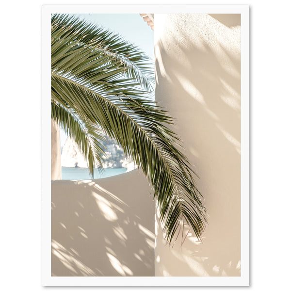 a palm tree leaning against a white wall