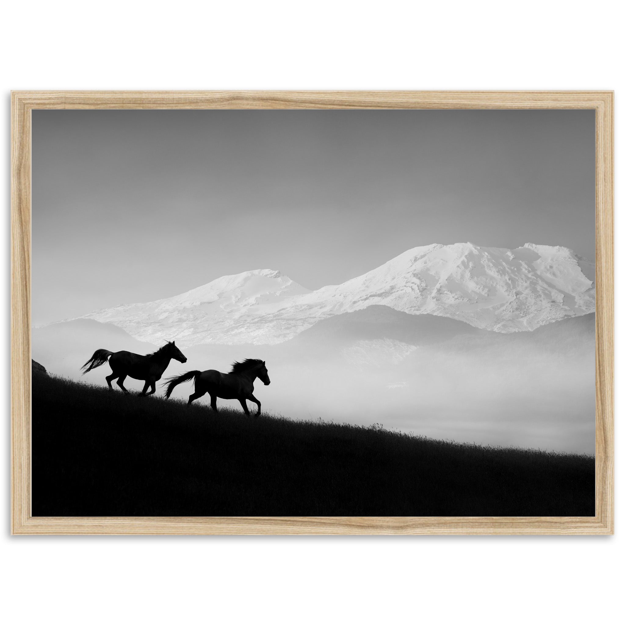 a black and white photo of two horses running