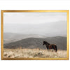 a horse standing in a field with mountains in the background