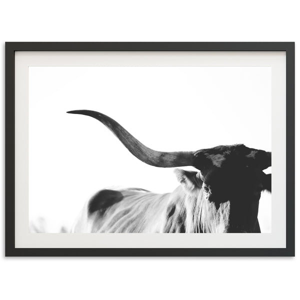 a black and white photo of a cow with long horns