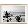 a black and white photo of a beach with palm trees