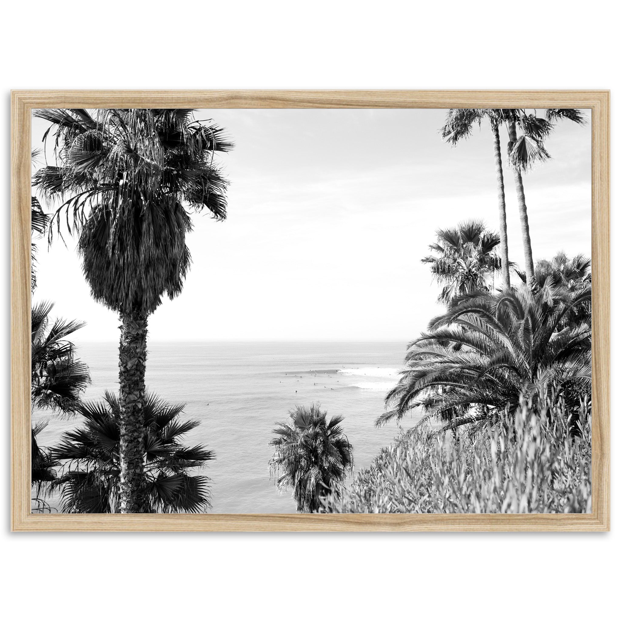 a black and white photo of palm trees and the ocean