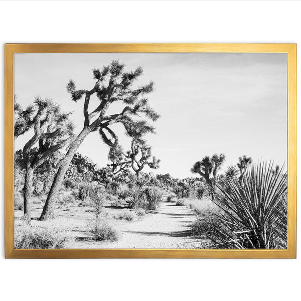 a black and white photo of a desert landscape