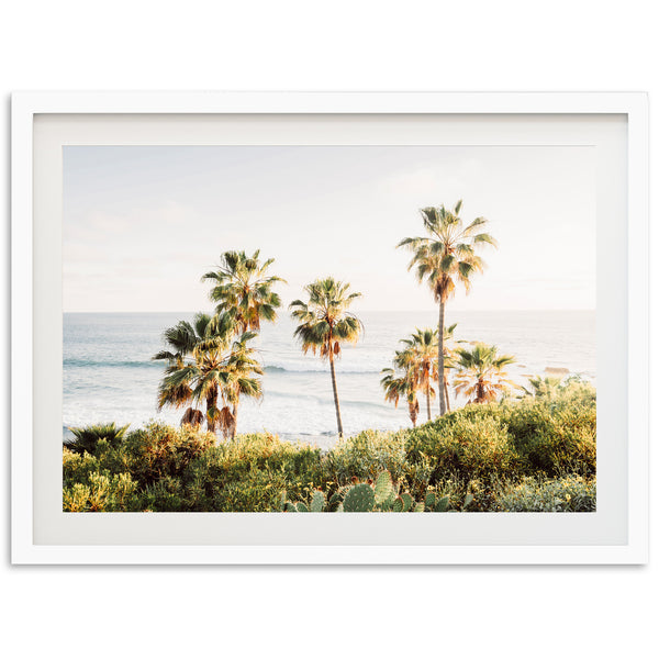 a picture of a beach with palm trees