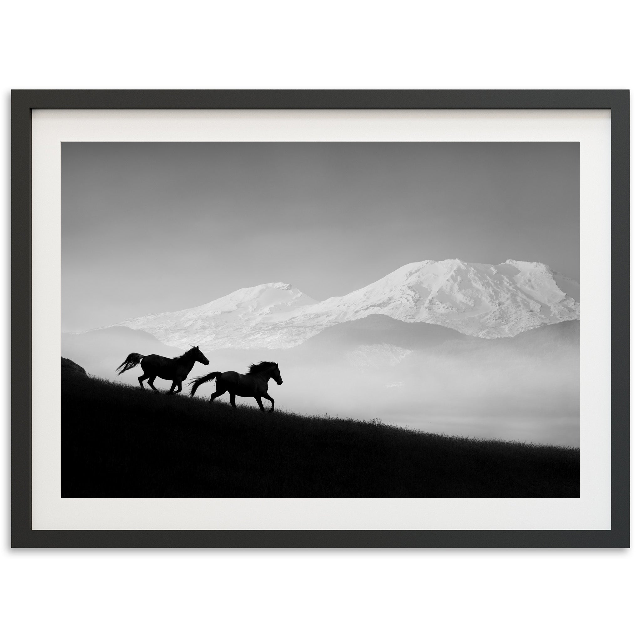 a black and white photo of two horses running