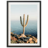 a cactus on a rocky cliff by the ocean