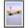 a framed photograph of a desert landscape