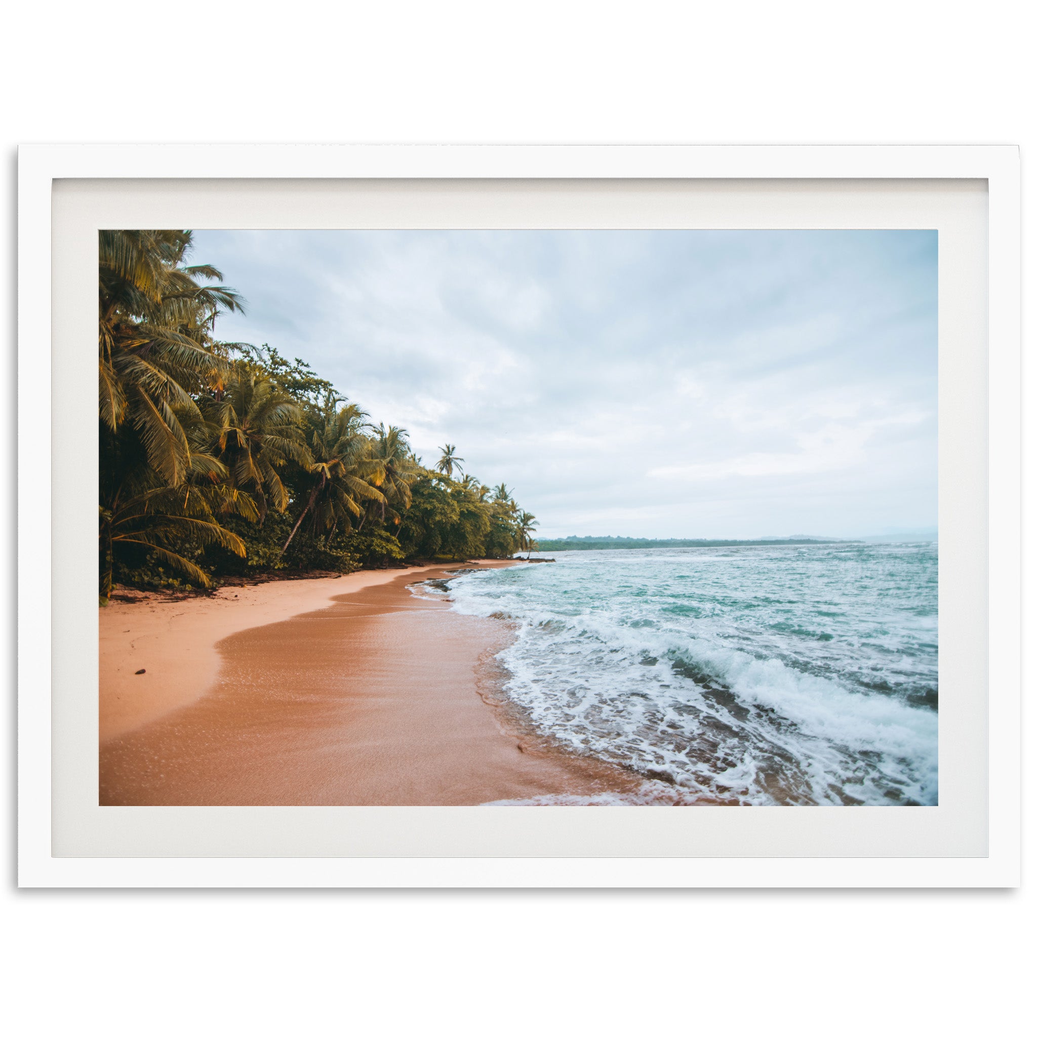 a picture of a beach with palm trees