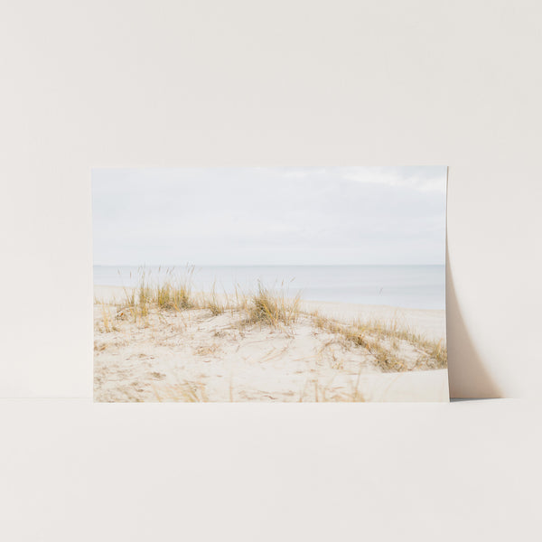 a picture of a beach with grass and water in the background