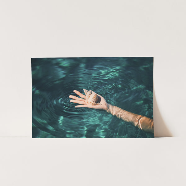 Sea Shell