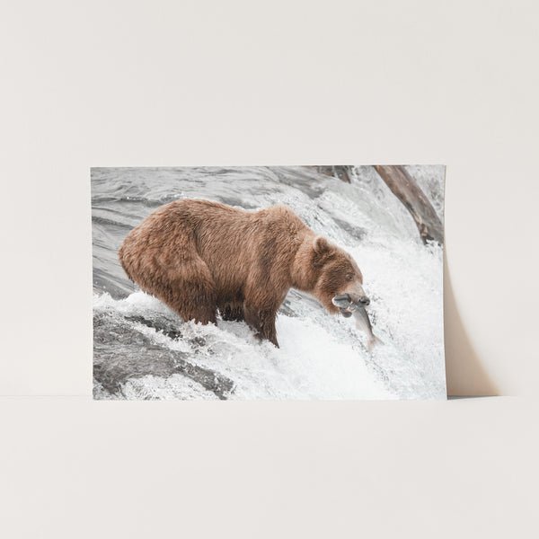 Wild Catch