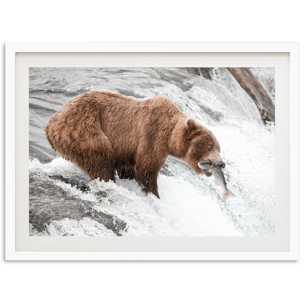 Wild Catch