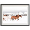 Winter Range