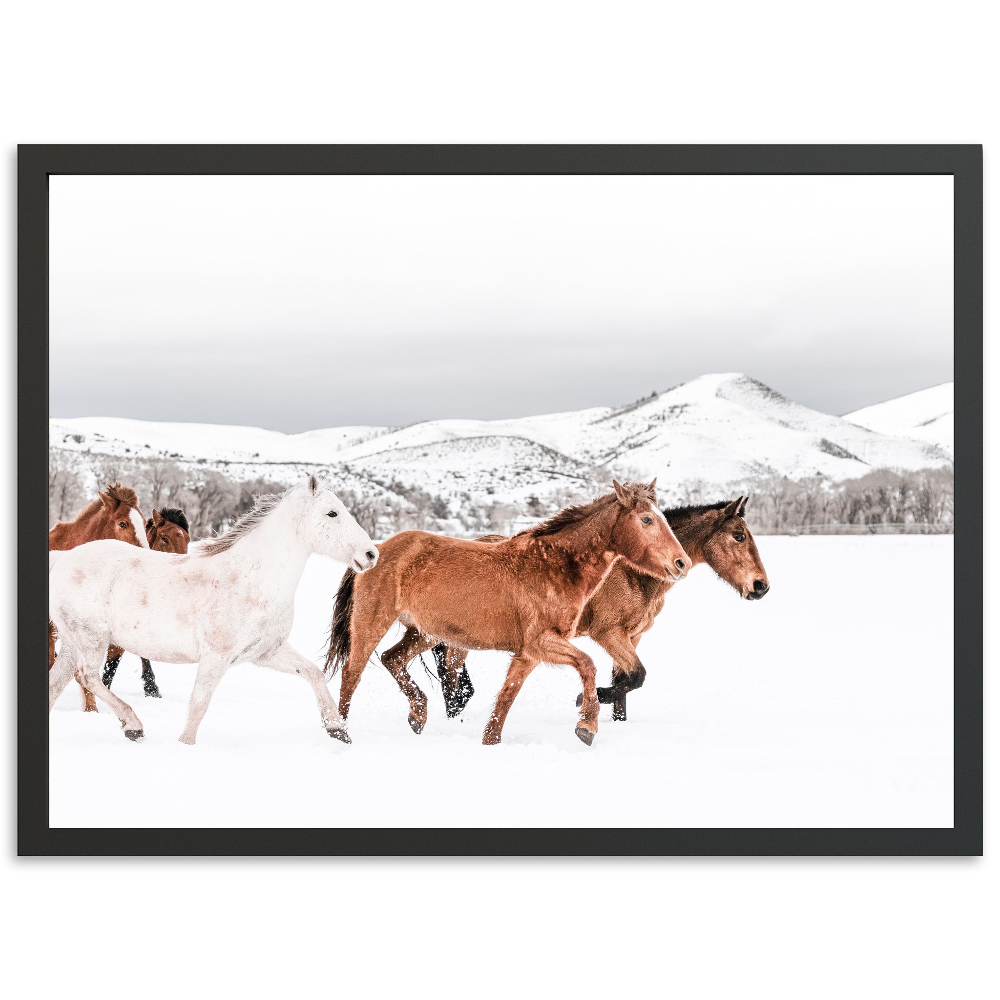Winter Range