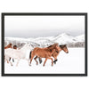 Winter Range