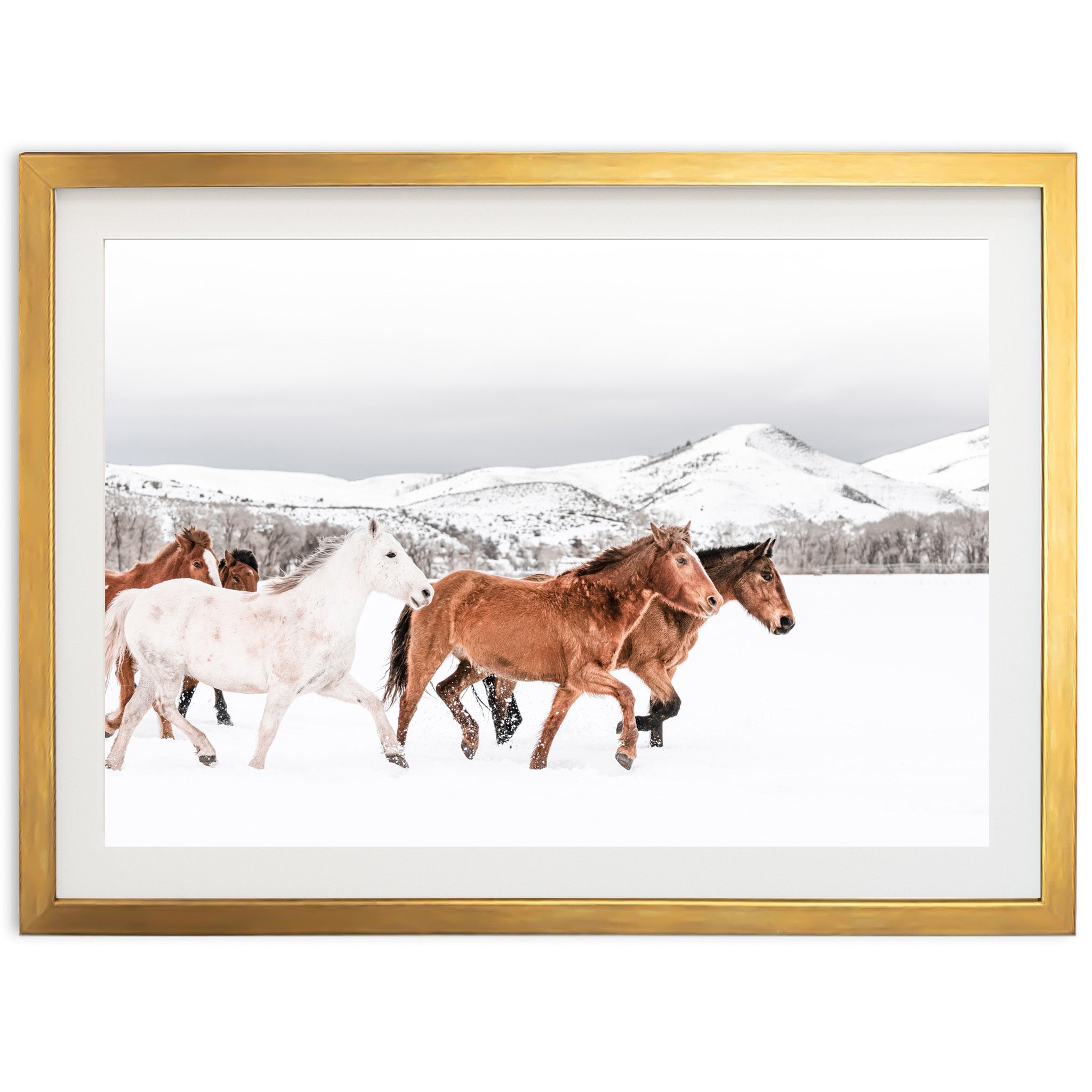 Winter Range