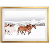 Winter Range