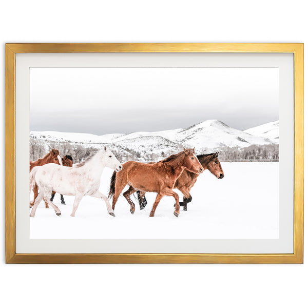 Winter Range
