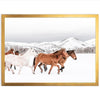 Winter Range