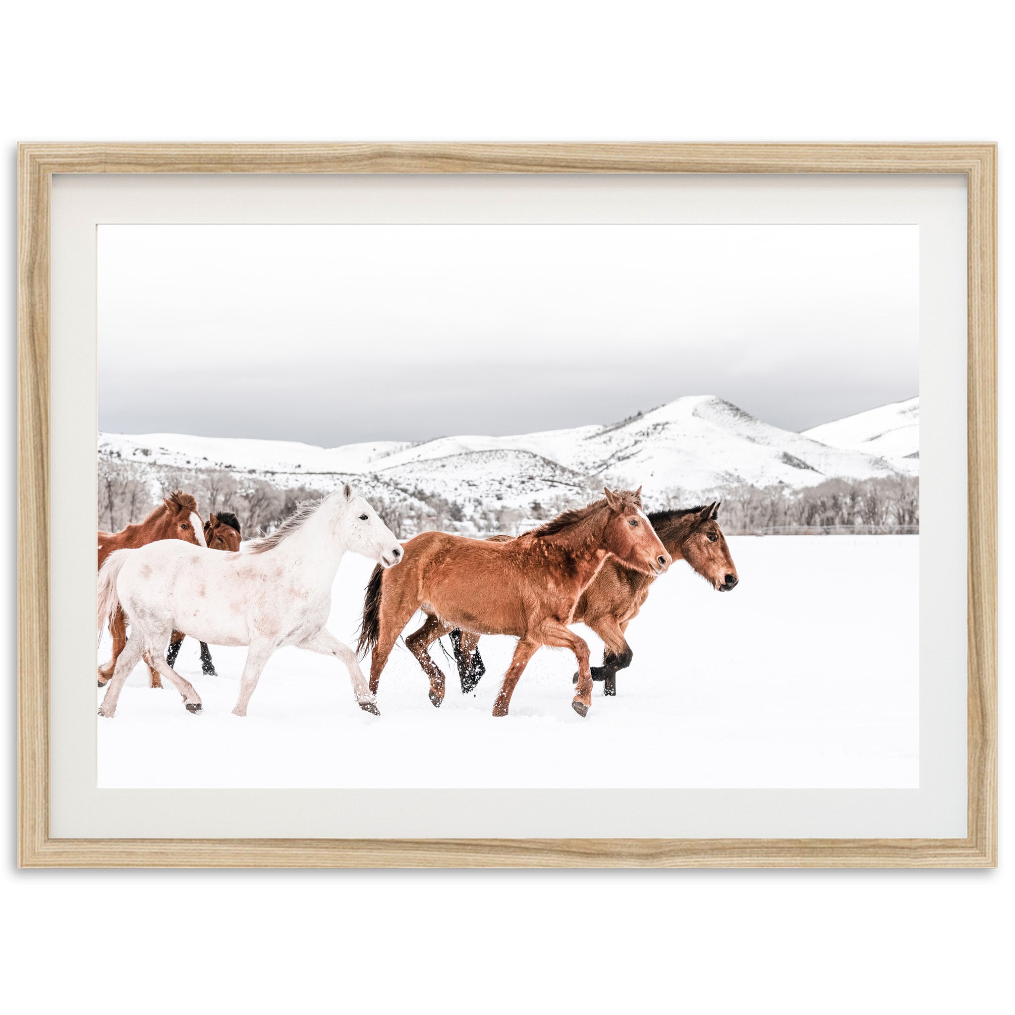 Winter Range