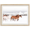 Winter Range
