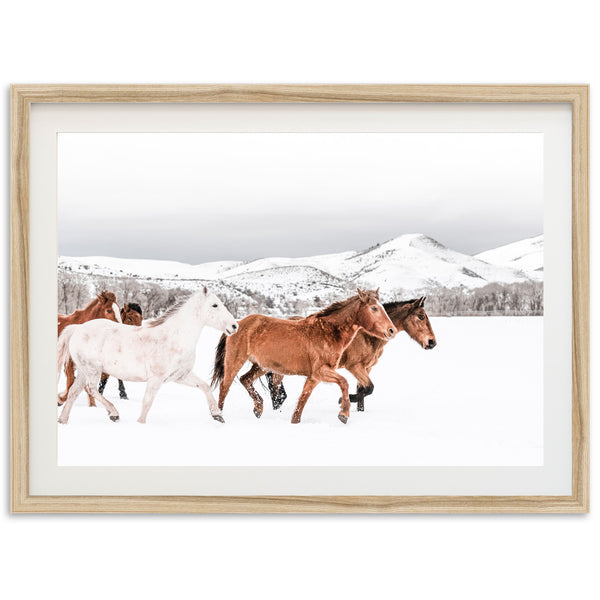 Winter Range