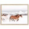 Winter Range