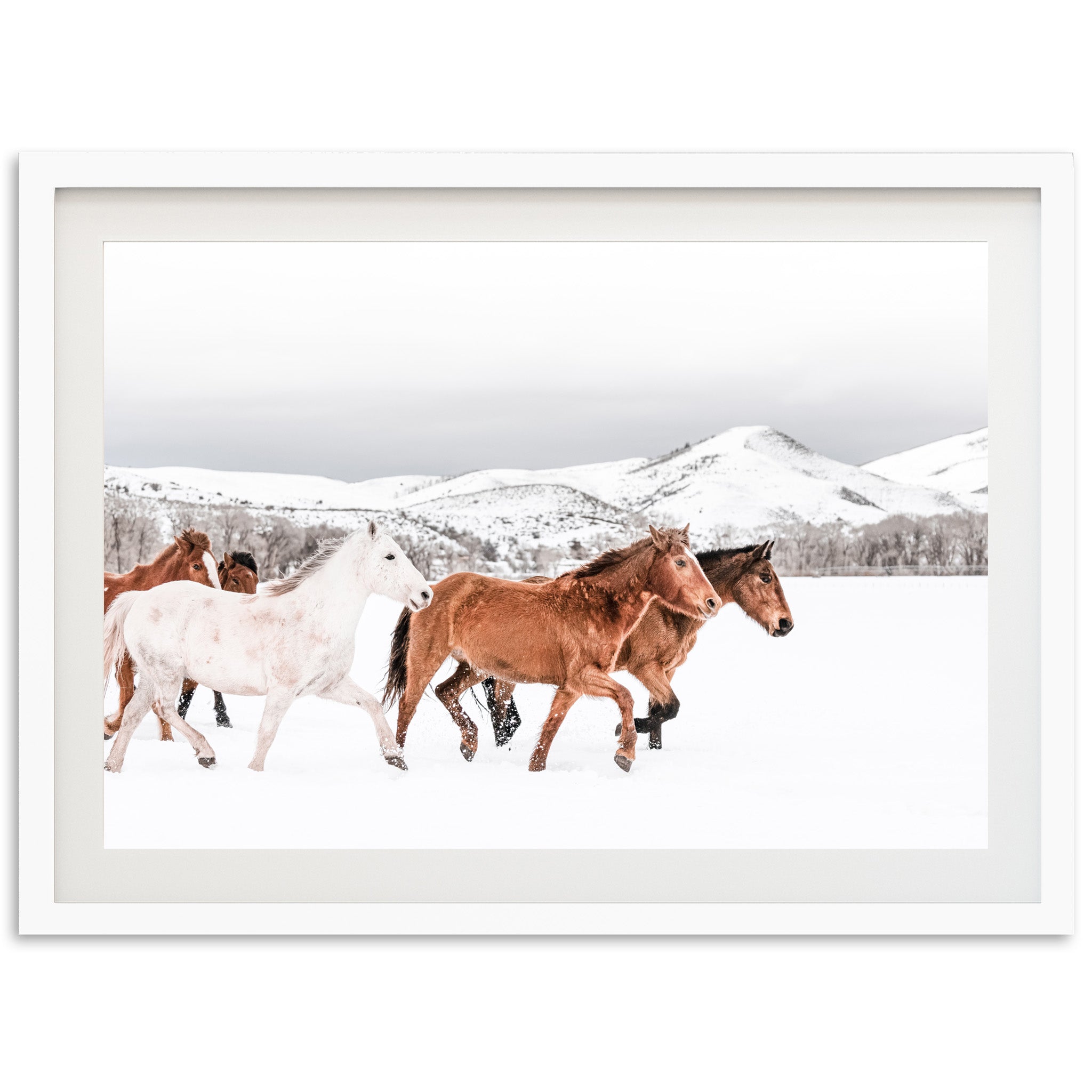 Winter Range