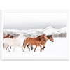 Winter Range