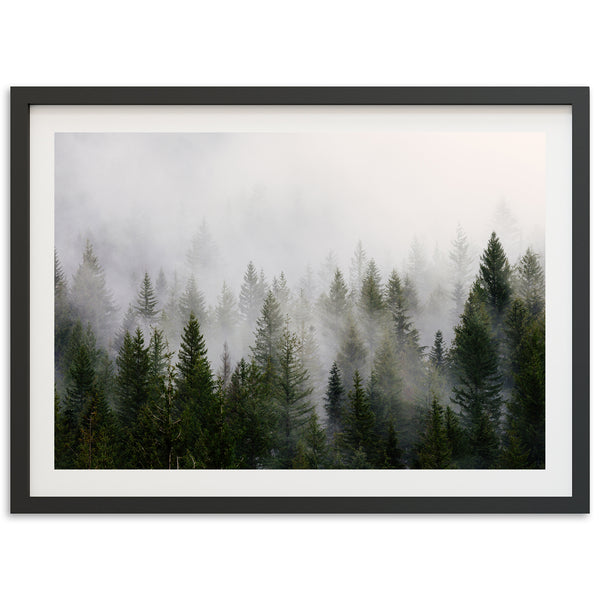Misty Pines